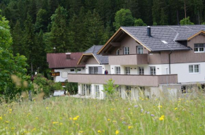Гостиница Urlaubsapartments Pfleger  Хинтерстодер